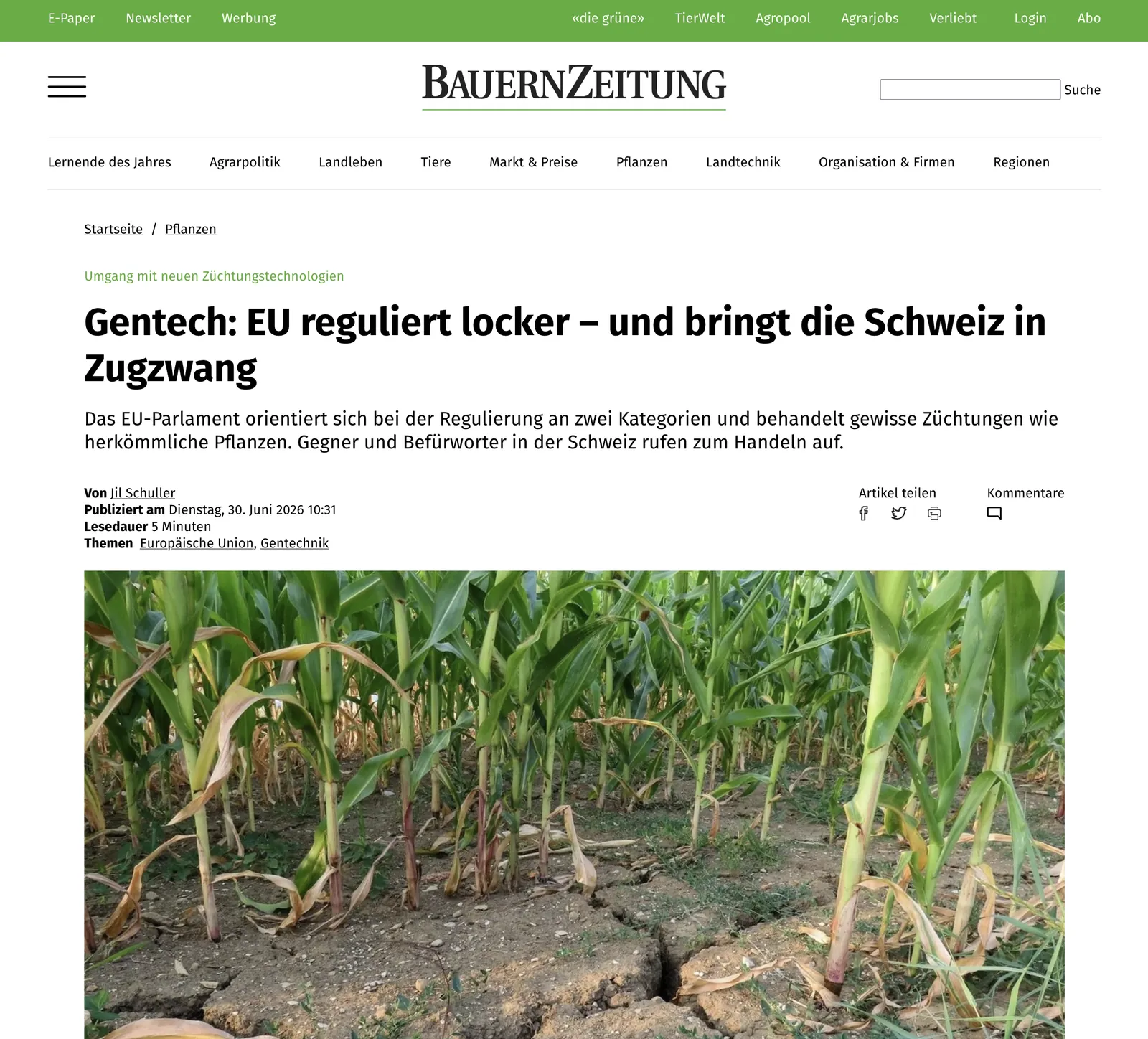 BauernZeitung: Artikelansicht und E-Paper-Zugang