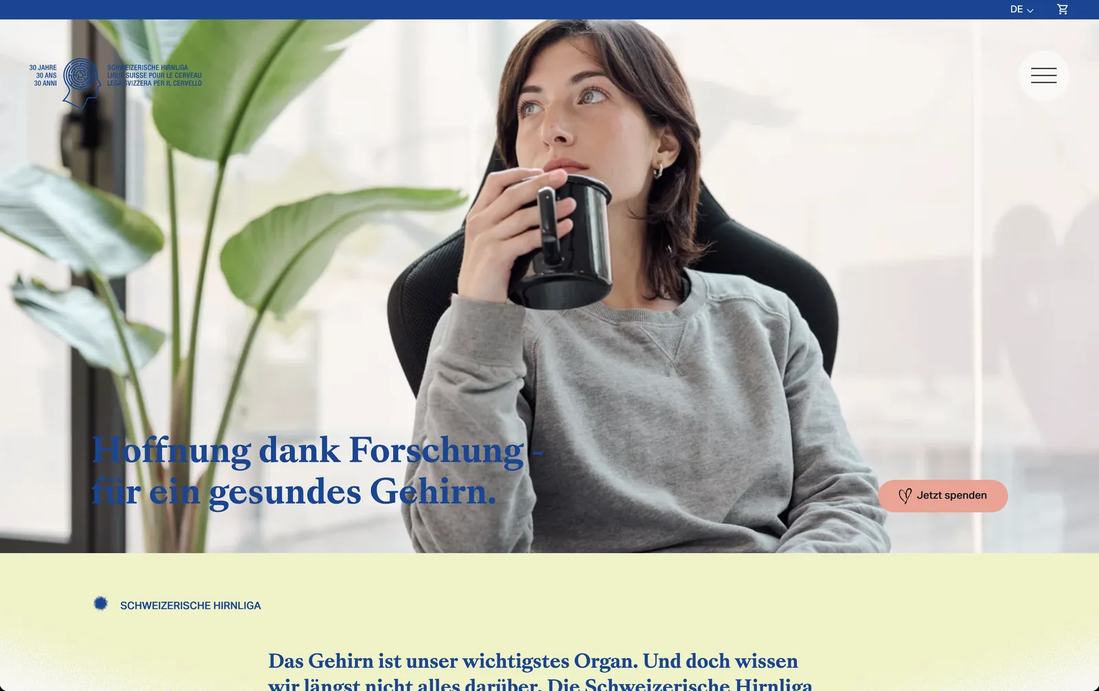 Schweizerische Hirnliga: Startseite des neuen Auftritts