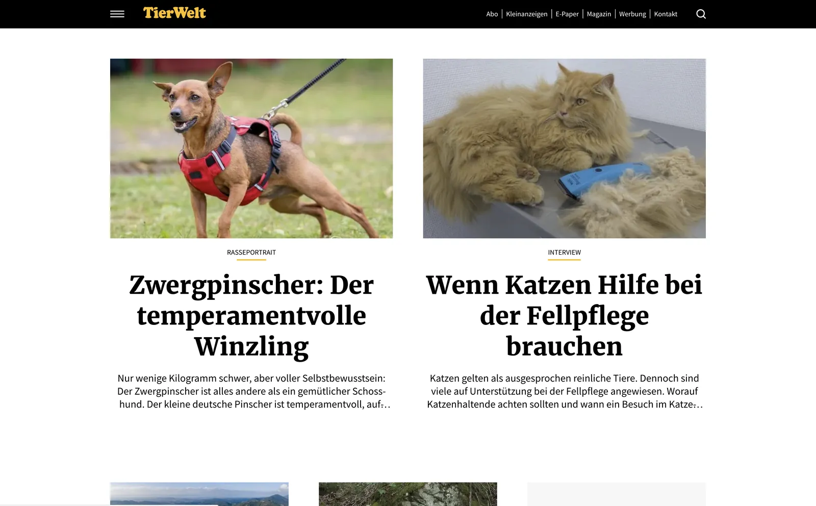 TierWelt: Startseite